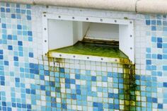Picture of a nasty pool skimmer with green algae growing in the blue and white, needs to be cleaned by a proper pool cleaning company